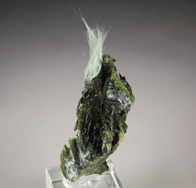 AMPHIBOLE GROUP var. BYSSOLITE, EPIDOTE