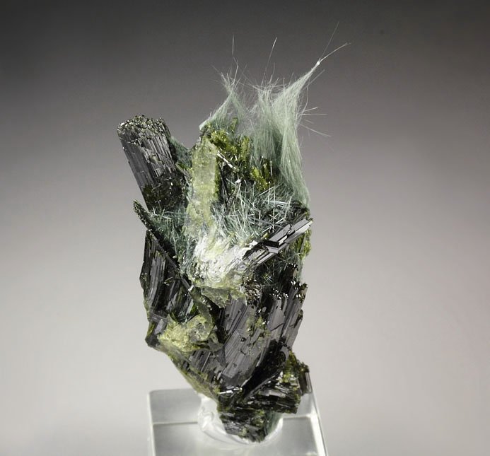 AMPHIBOLE GROUP var. BYSSOLITE, EPIDOTE