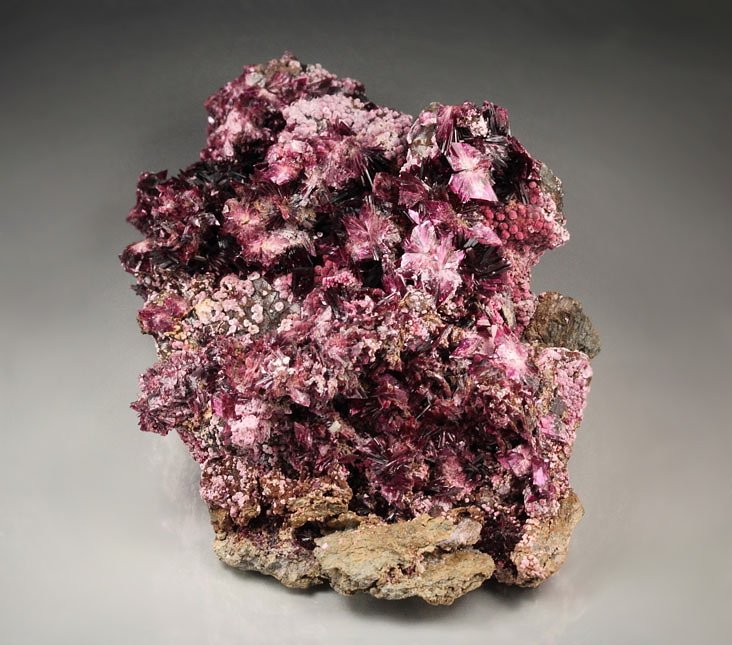 ERYTHRITE two habits