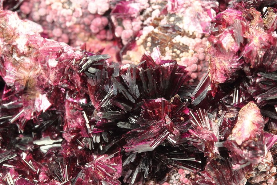 ERYTHRITE two habits