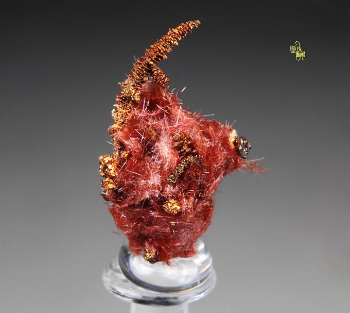 CUPRITE var. CHALCOTRICHITE, CHALCOPYRITE, COPPER