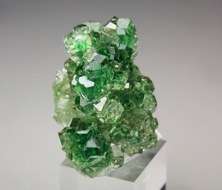 gem GARNET var. GROSSULAR with GREEN CHROMIAN PHANTOMS