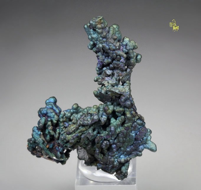 CHALCOCITE, DJURLEITE, iridescent CHALCOPYRITE