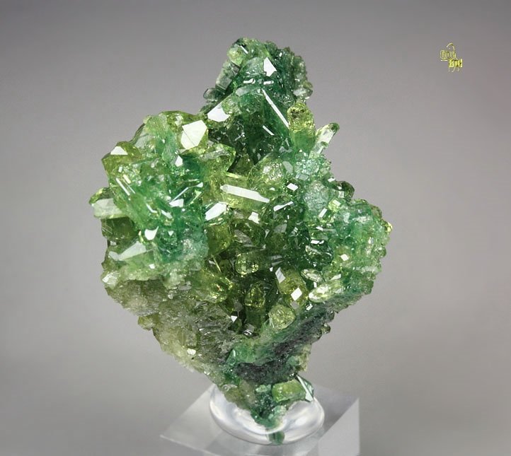 gem VESUVIANITE var. CHROMIAN