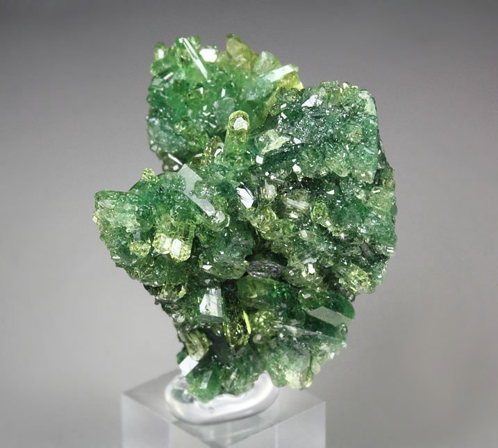 gem VESUVIANITE var. CHROMIAN