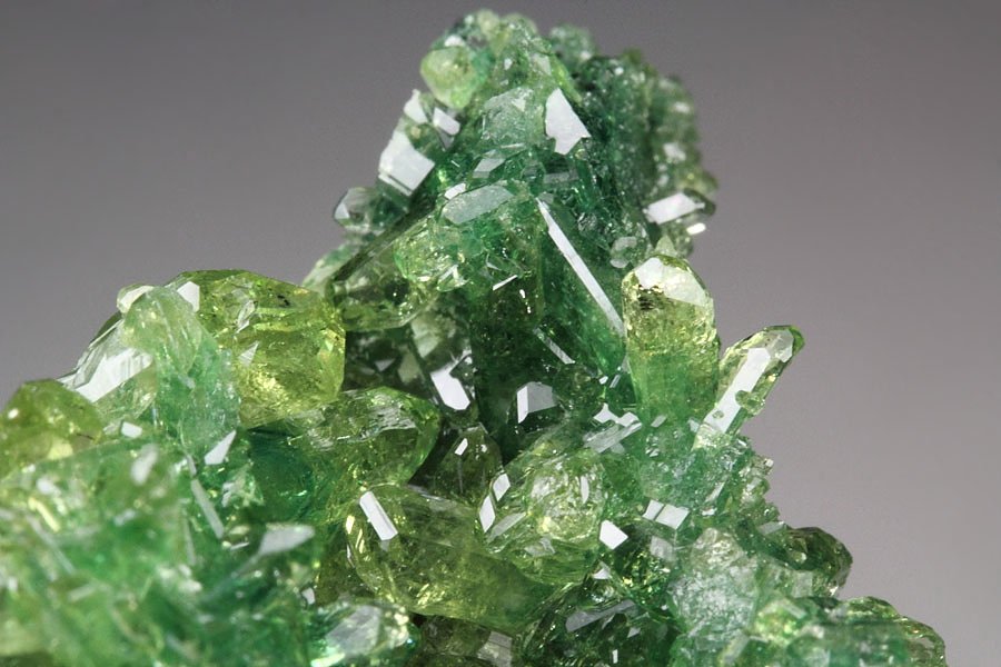 gem VESUVIANITE var. CHROMIAN