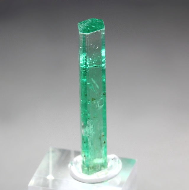 gem BERYL var. EMERALD