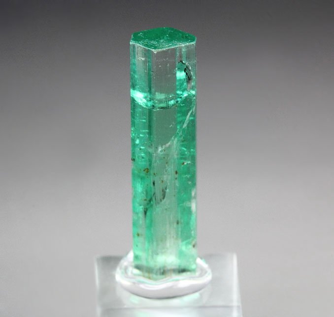 gem BERYL var. EMERALD