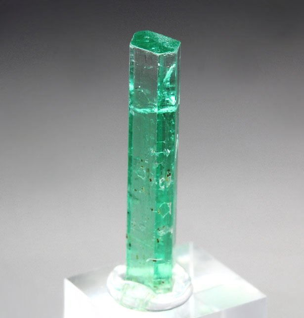 gem BERYL var. EMERALD