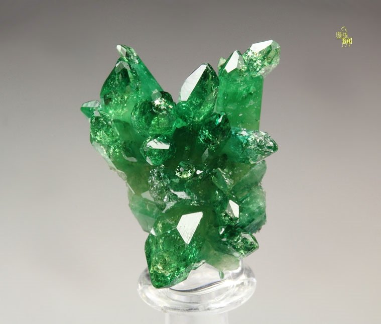 gem VESUVIANITE var. CHROMIAN