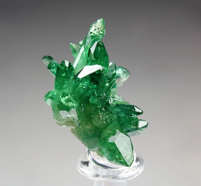 gem VESUVIANITE var. CHROMIAN