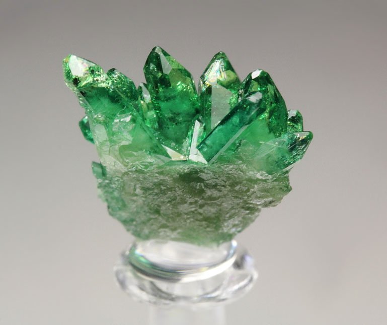 gem VESUVIANITE var. CHROMIAN