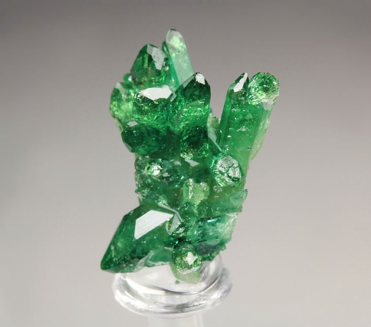 gem VESUVIANITE var. CHROMIAN