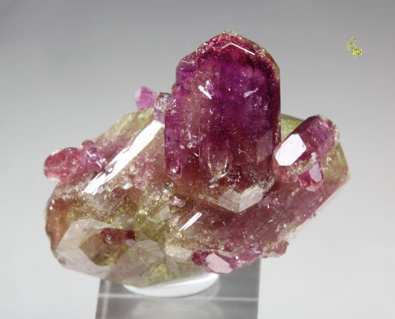 bi-color VESUVIANITE floater