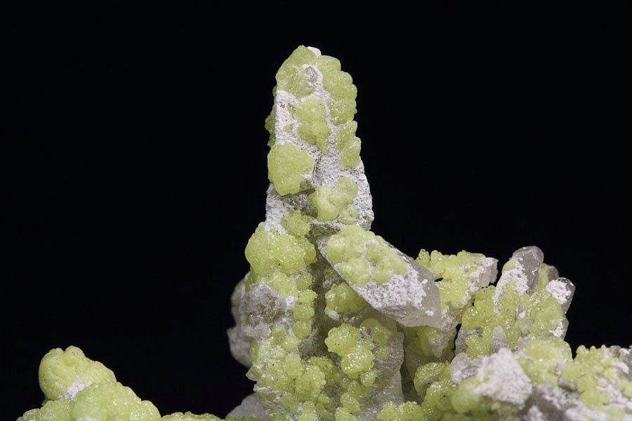 SALAMMONIAC, SULPHUR