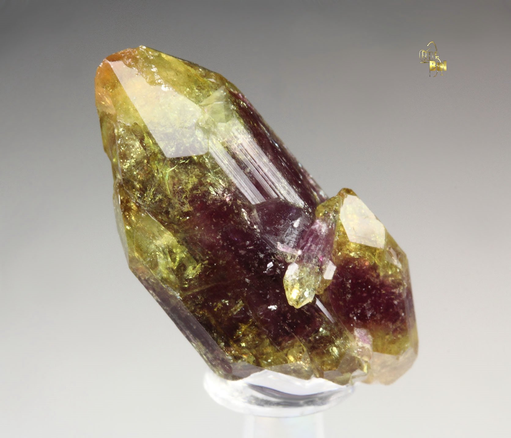 gemmy VESUVIANITE multicolor