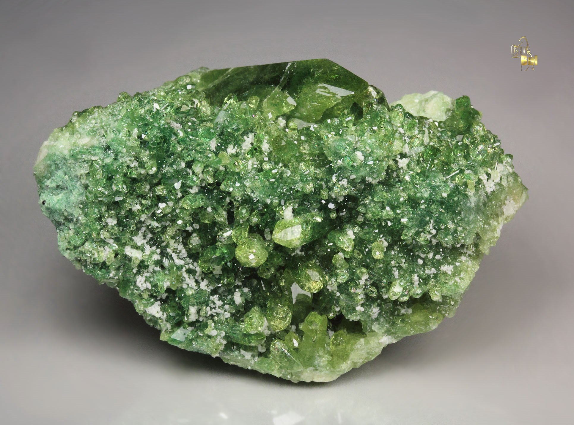 gem VESUVIANITE var. CHROMIAN