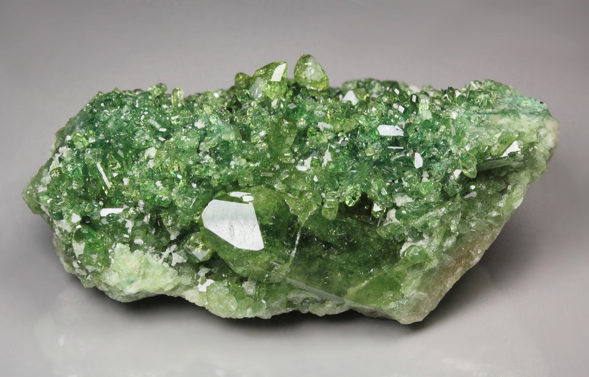 gem VESUVIANITE var. CHROMIAN
