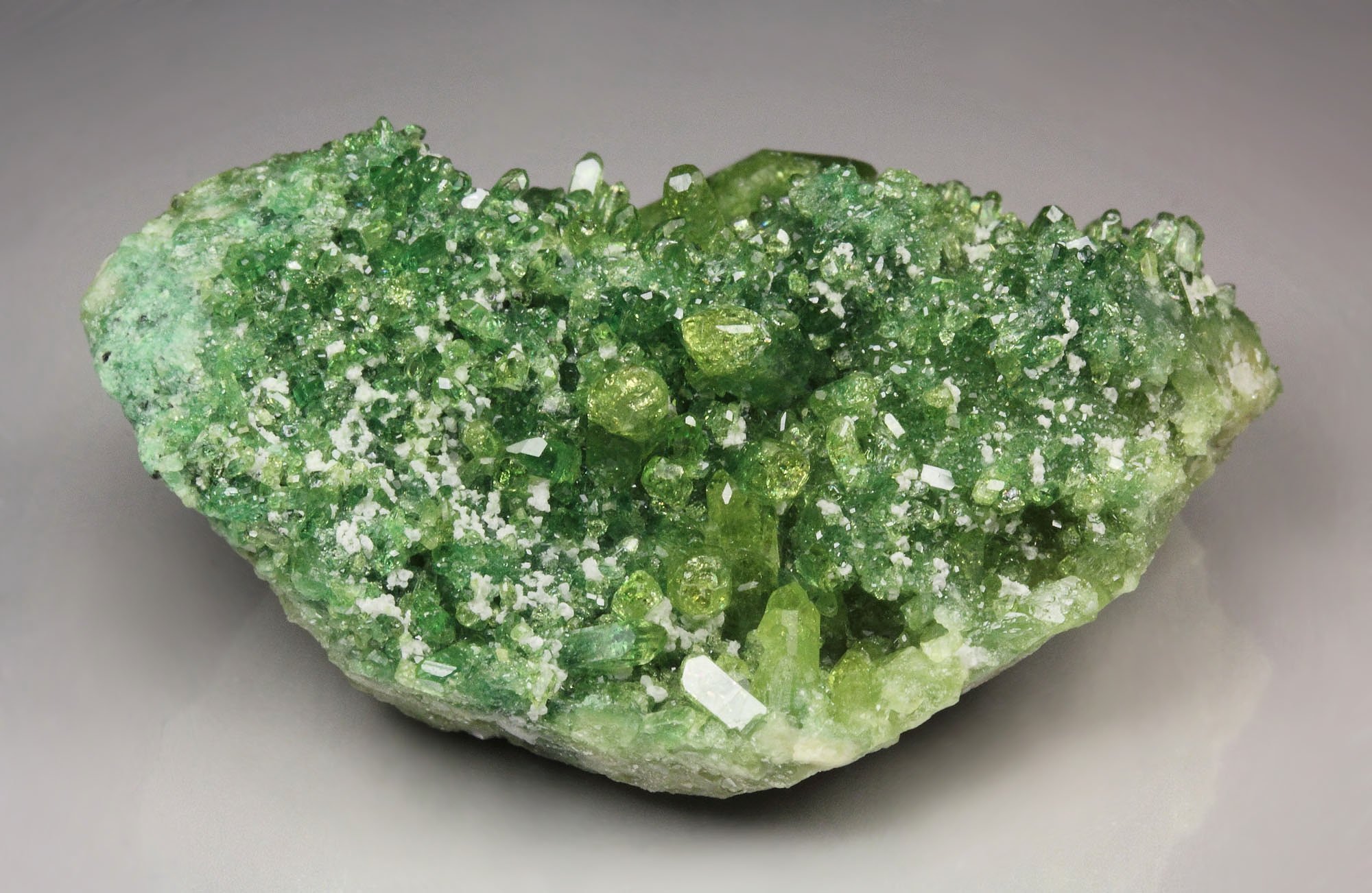 gem VESUVIANITE var. CHROMIAN