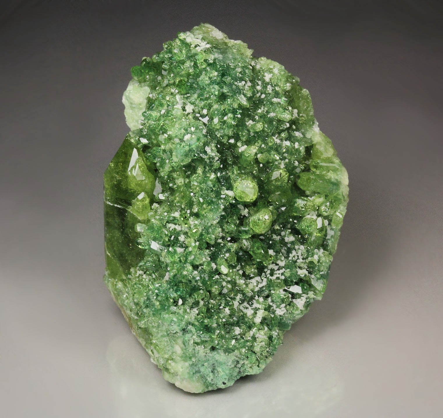 gem VESUVIANITE var. CHROMIAN