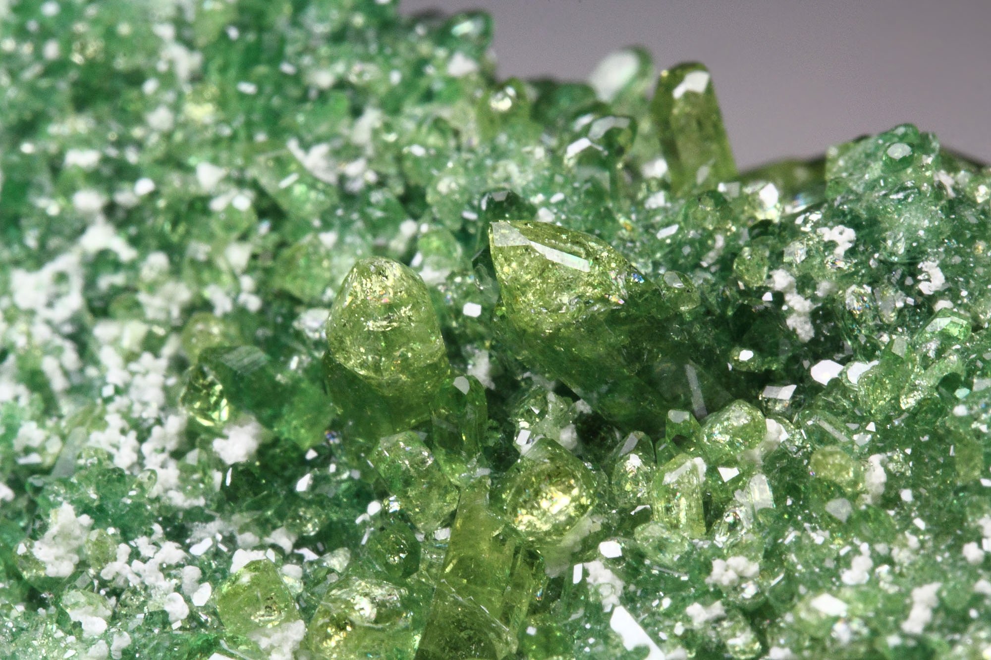 gem VESUVIANITE var. CHROMIAN