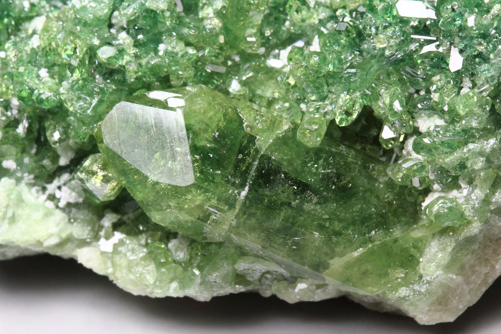 gem VESUVIANITE var. CHROMIAN