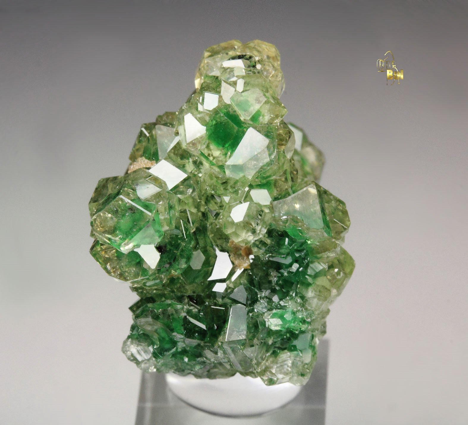 gem GARNET var. GROSSULAR with GREEN CHROMIAN PHANTOMS