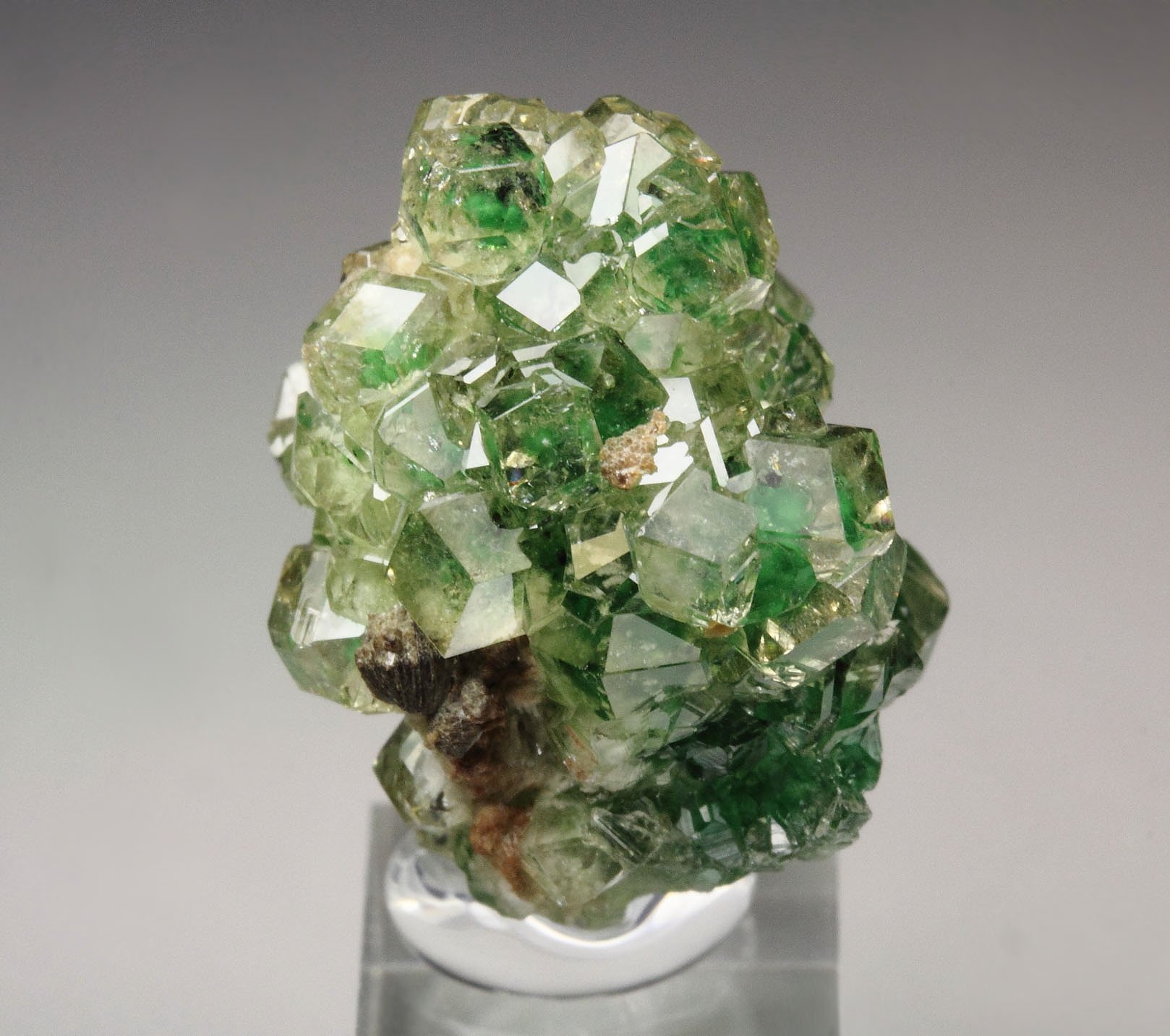 gem GARNET var. GROSSULAR with GREEN CHROMIAN PHANTOMS