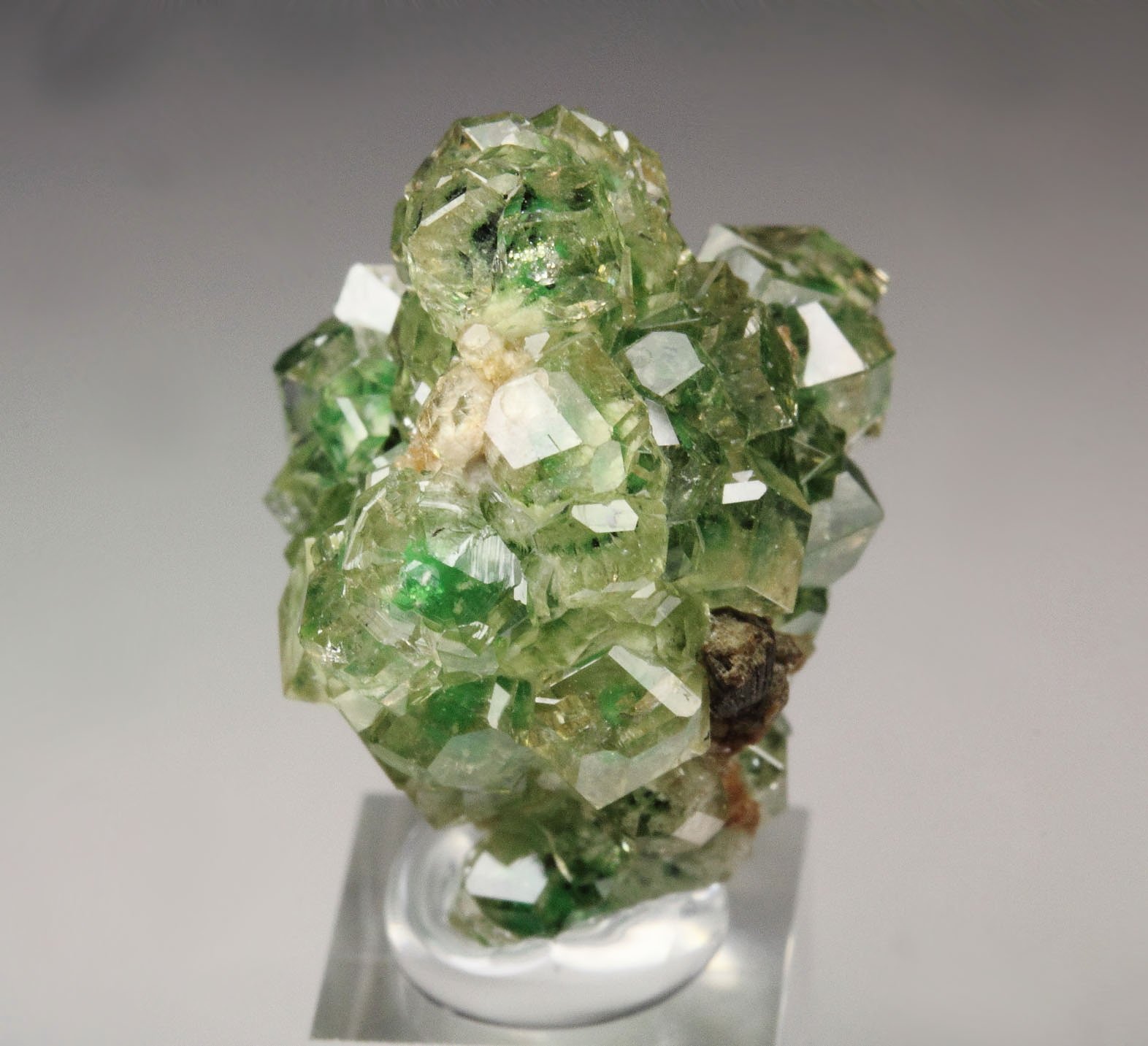 gem GARNET var. GROSSULAR with GREEN CHROMIAN PHANTOMS