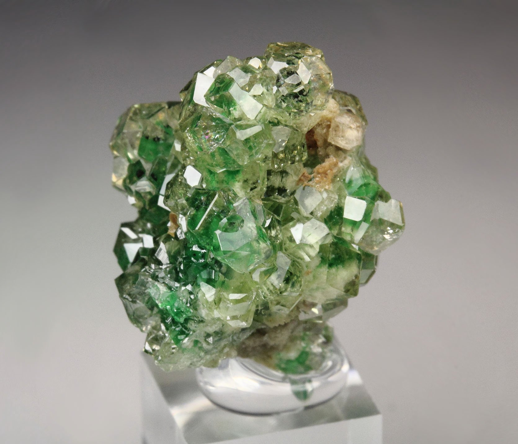 gem GARNET var. GROSSULAR with GREEN CHROMIAN PHANTOMS