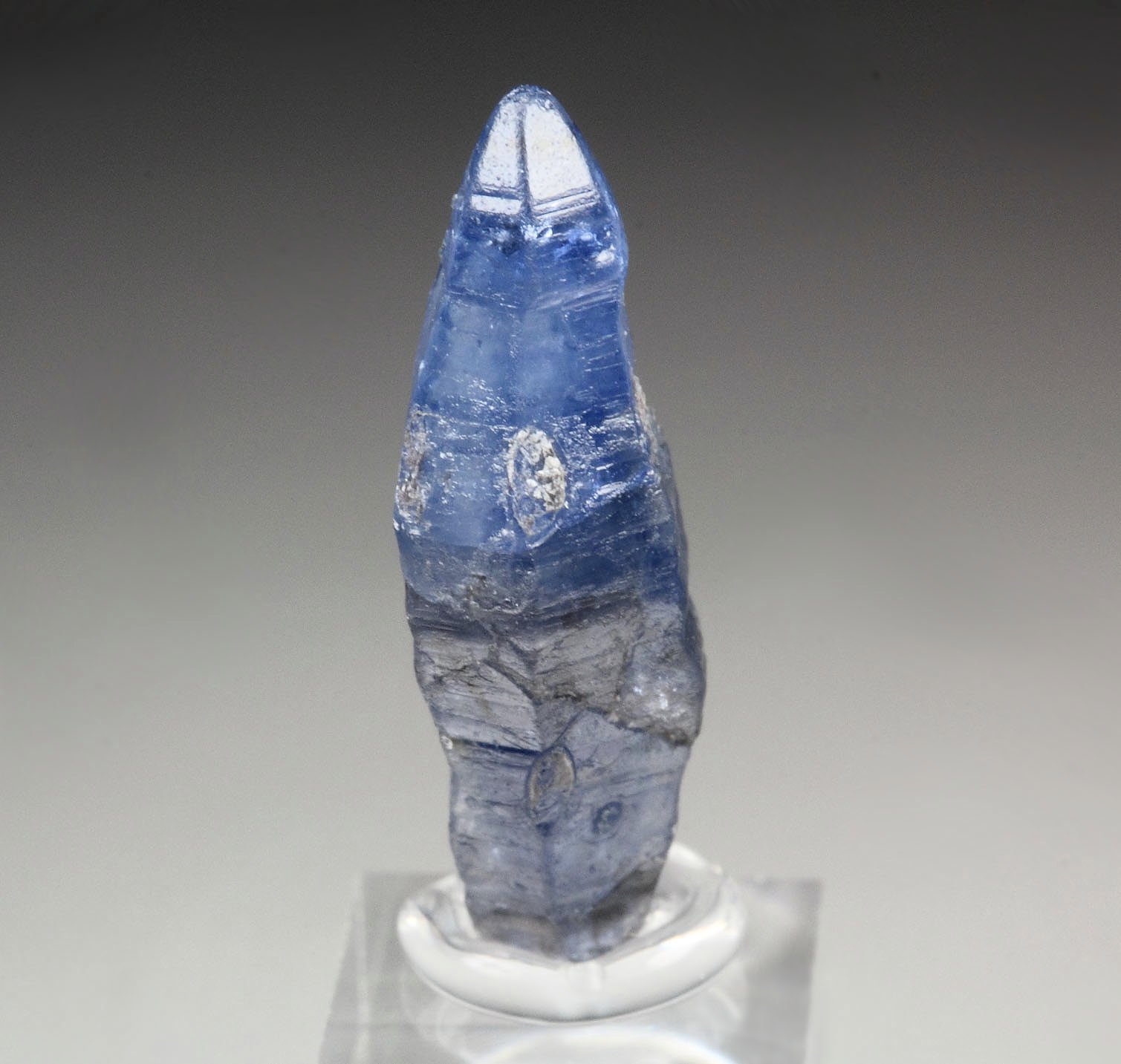 gem CORUNDUM var. SAPPHIRE