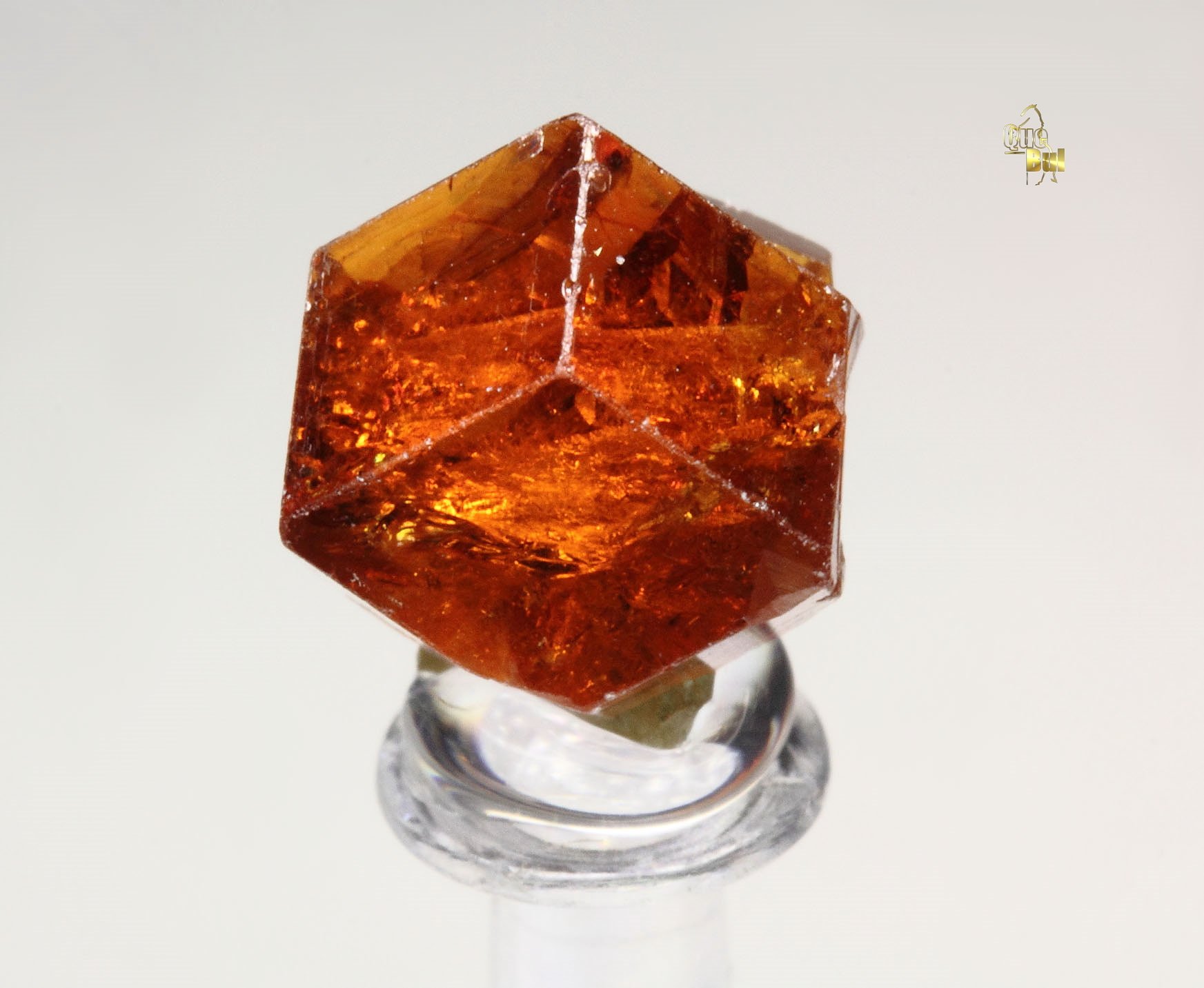 gem GARNET var. GROSSULAR