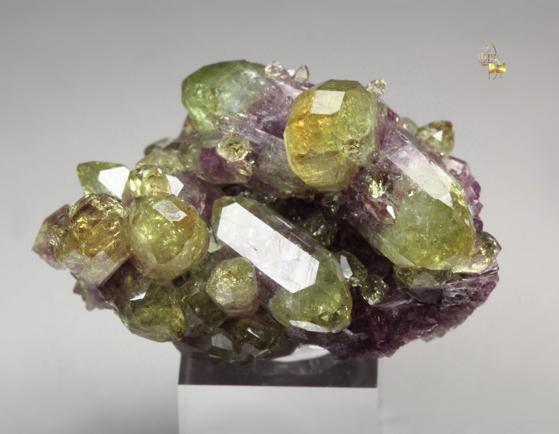 bi-color VESUVIANITE