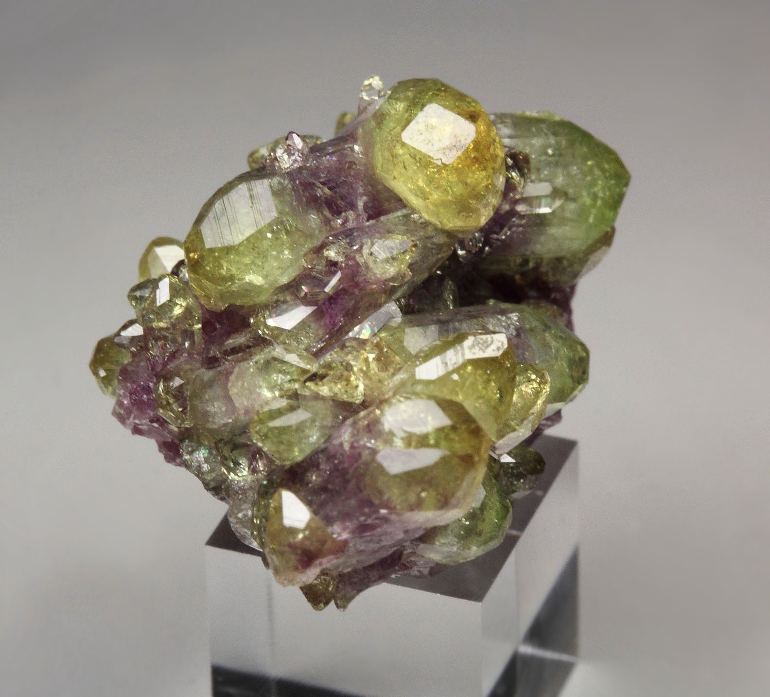 bi-color VESUVIANITE