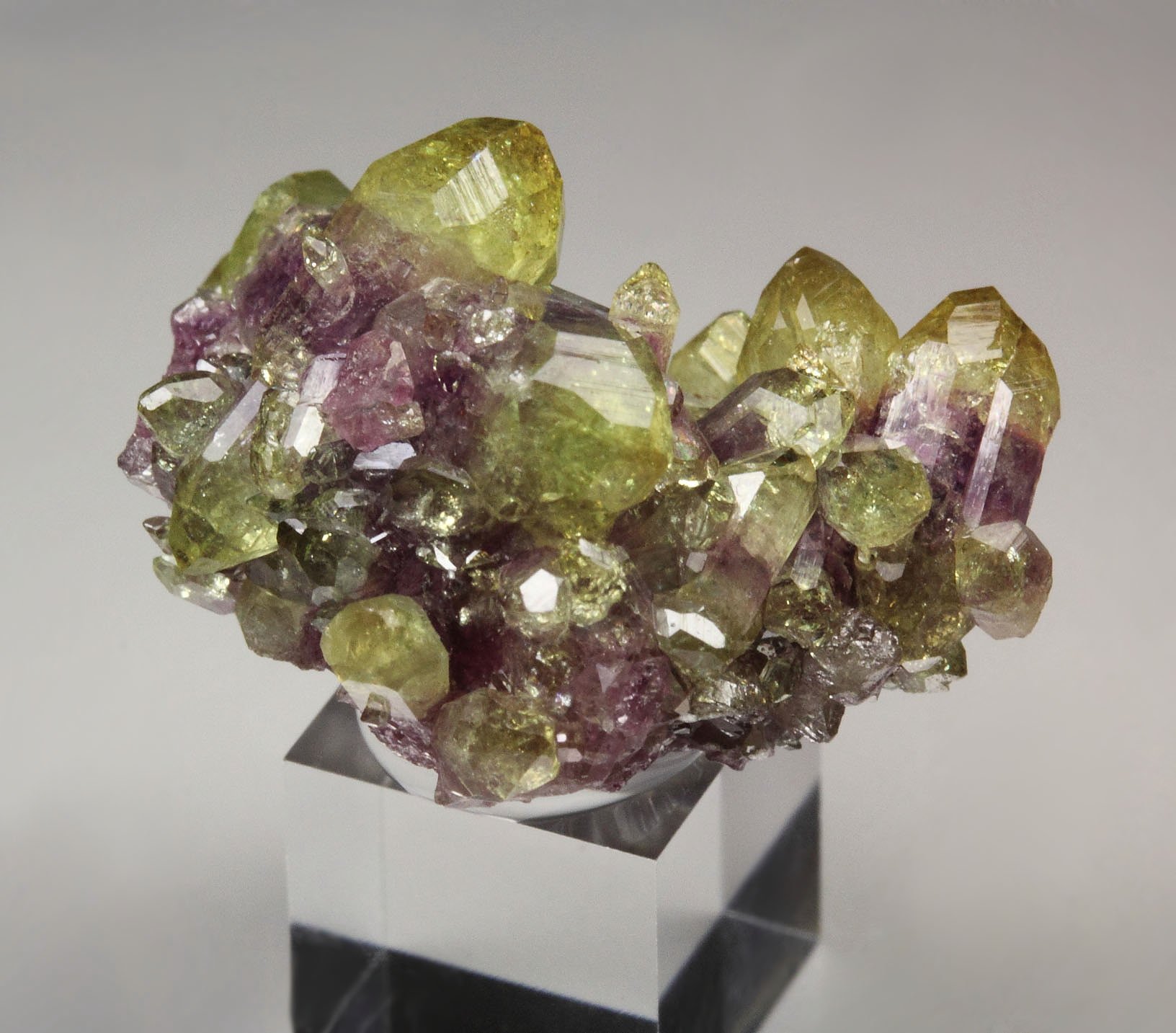 bi-color VESUVIANITE