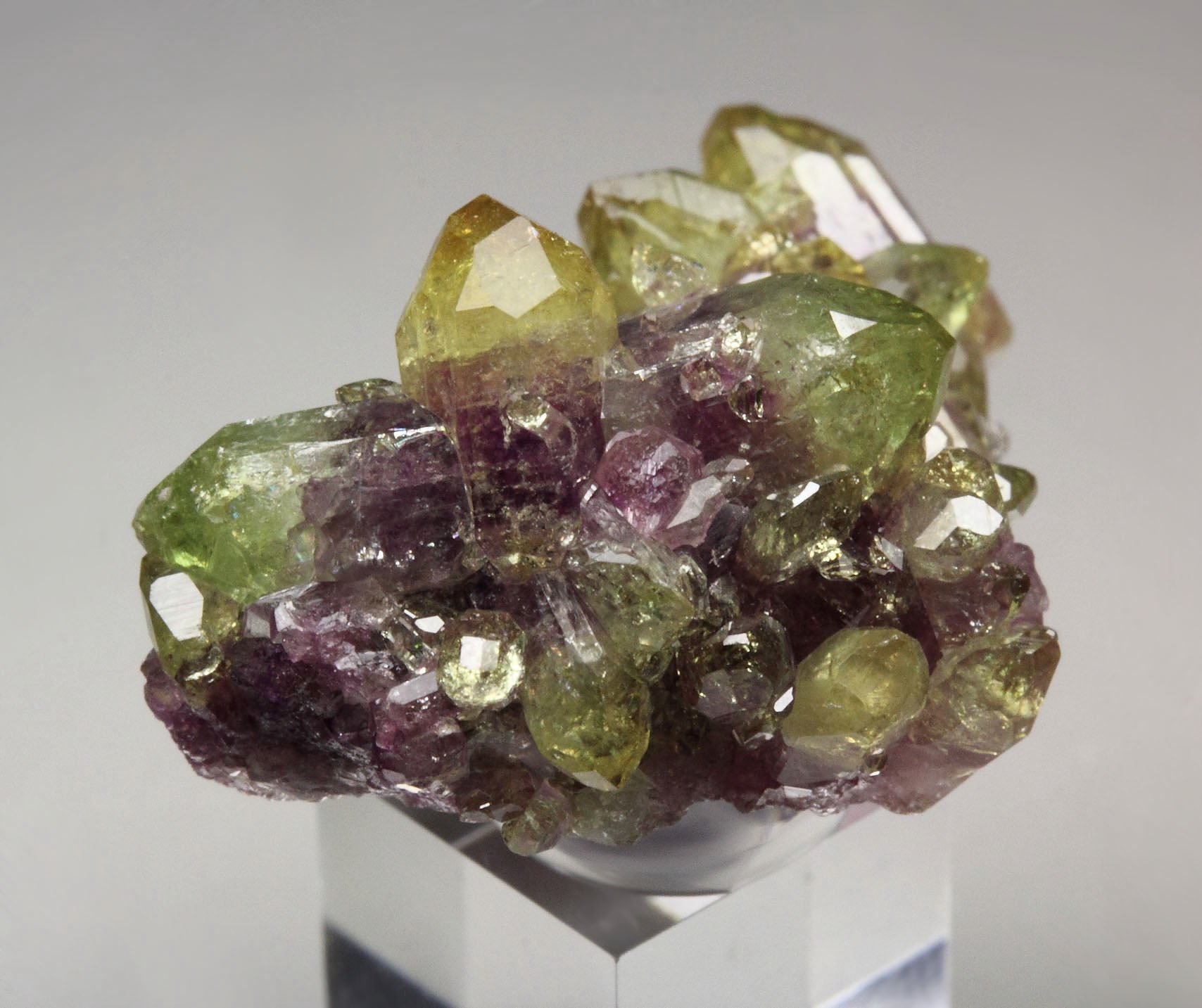 bi-color VESUVIANITE