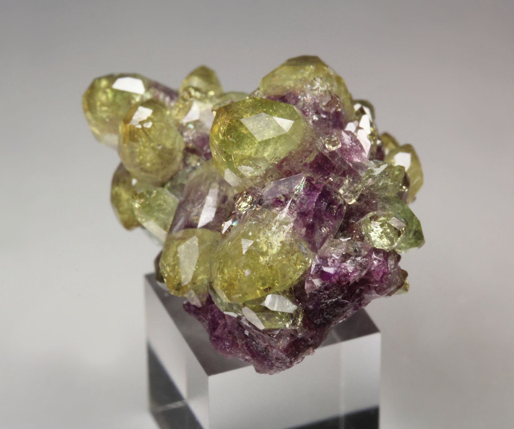 bi-color VESUVIANITE