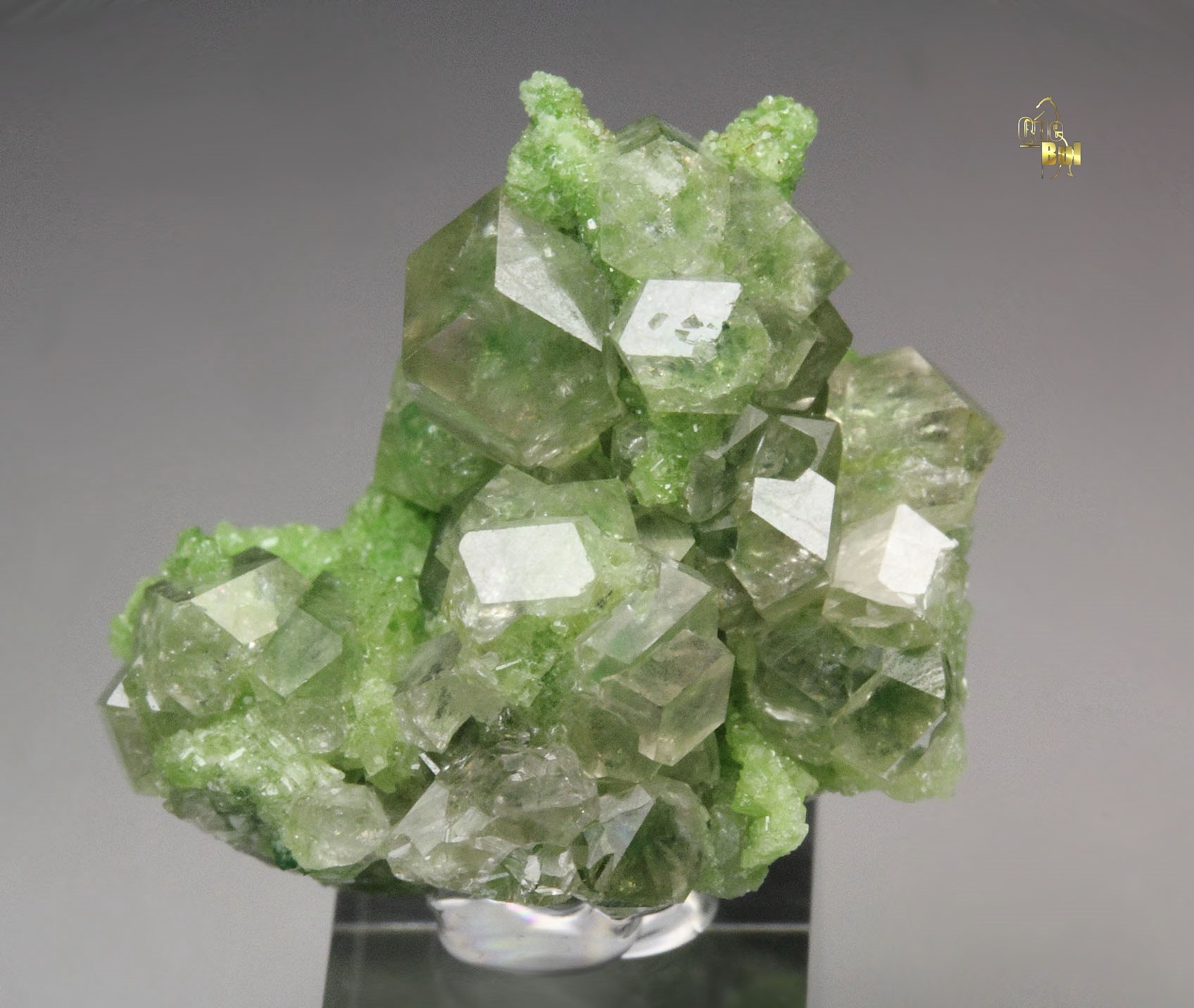 colorless gem GARNET var. GROSSULAR, DIOPSIDE