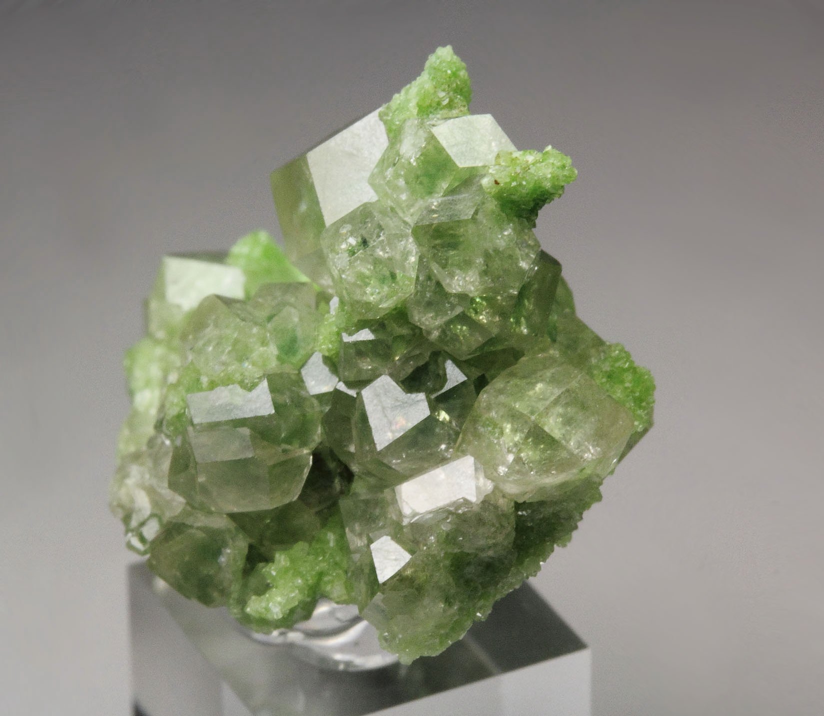 colorless gem GARNET var. GROSSULAR, DIOPSIDE