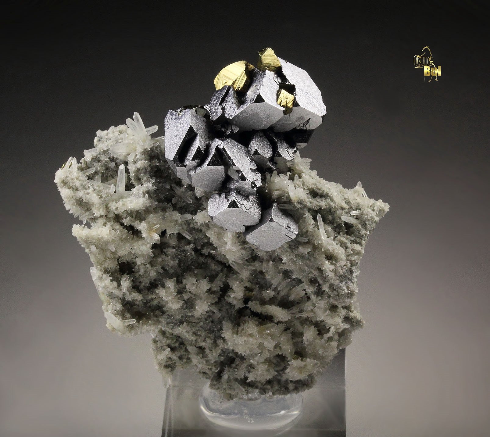 skeletal GALENA, CHALCOPYRITE, PYRITE, QUARTZ