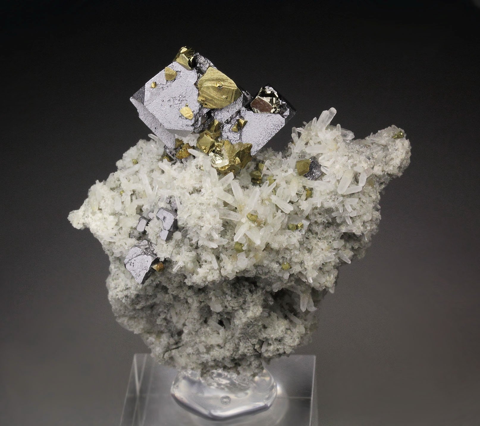 skeletal GALENA, CHALCOPYRITE, PYRITE, QUARTZ