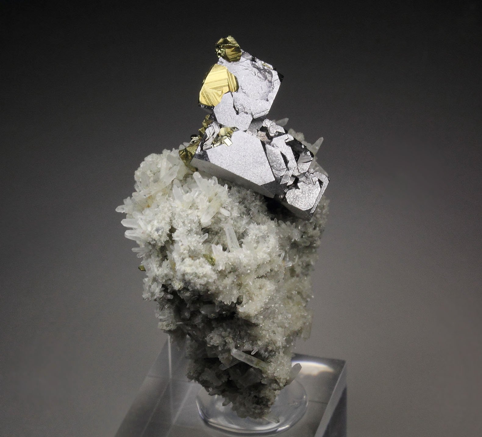 skeletal GALENA, CHALCOPYRITE, PYRITE, QUARTZ