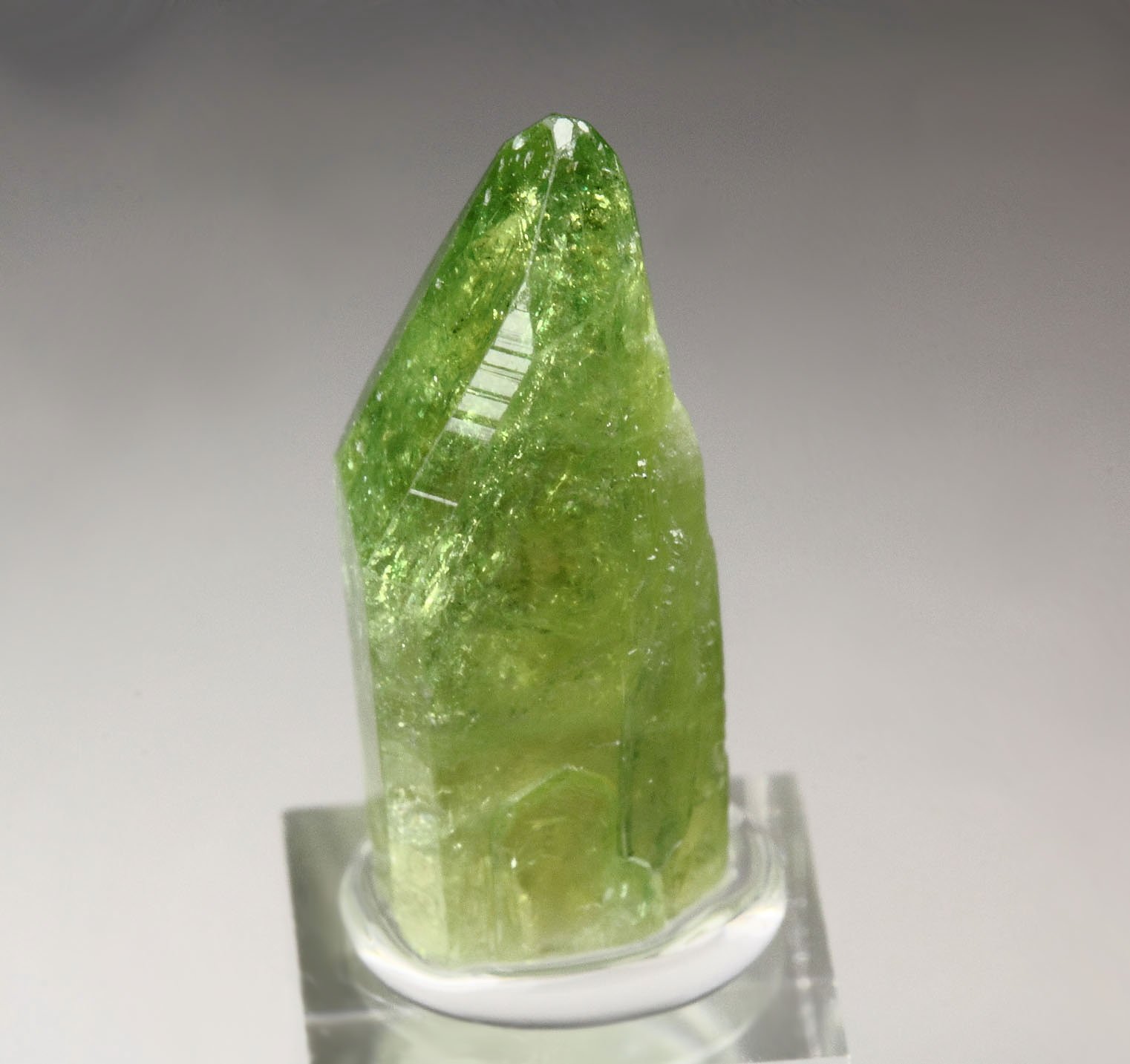 gem VESUVIANITE