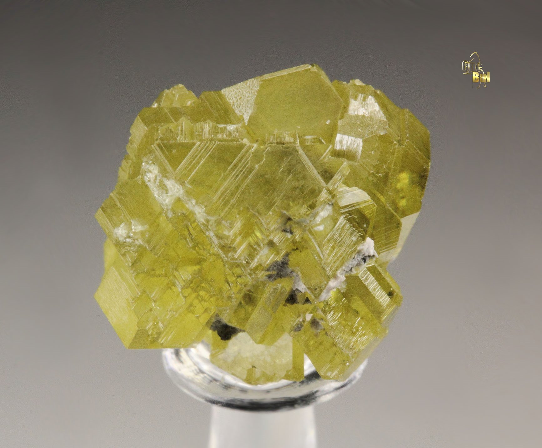 gem SPHALERITE var. CLEIOPHANE twinned