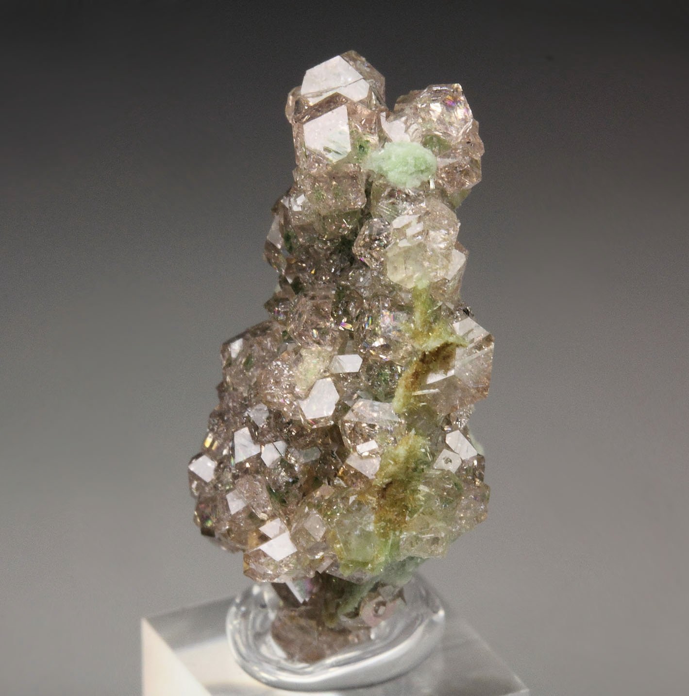 gem pink GARNET var. GROSSULAR with GREEN CORES, DIOPSIDE