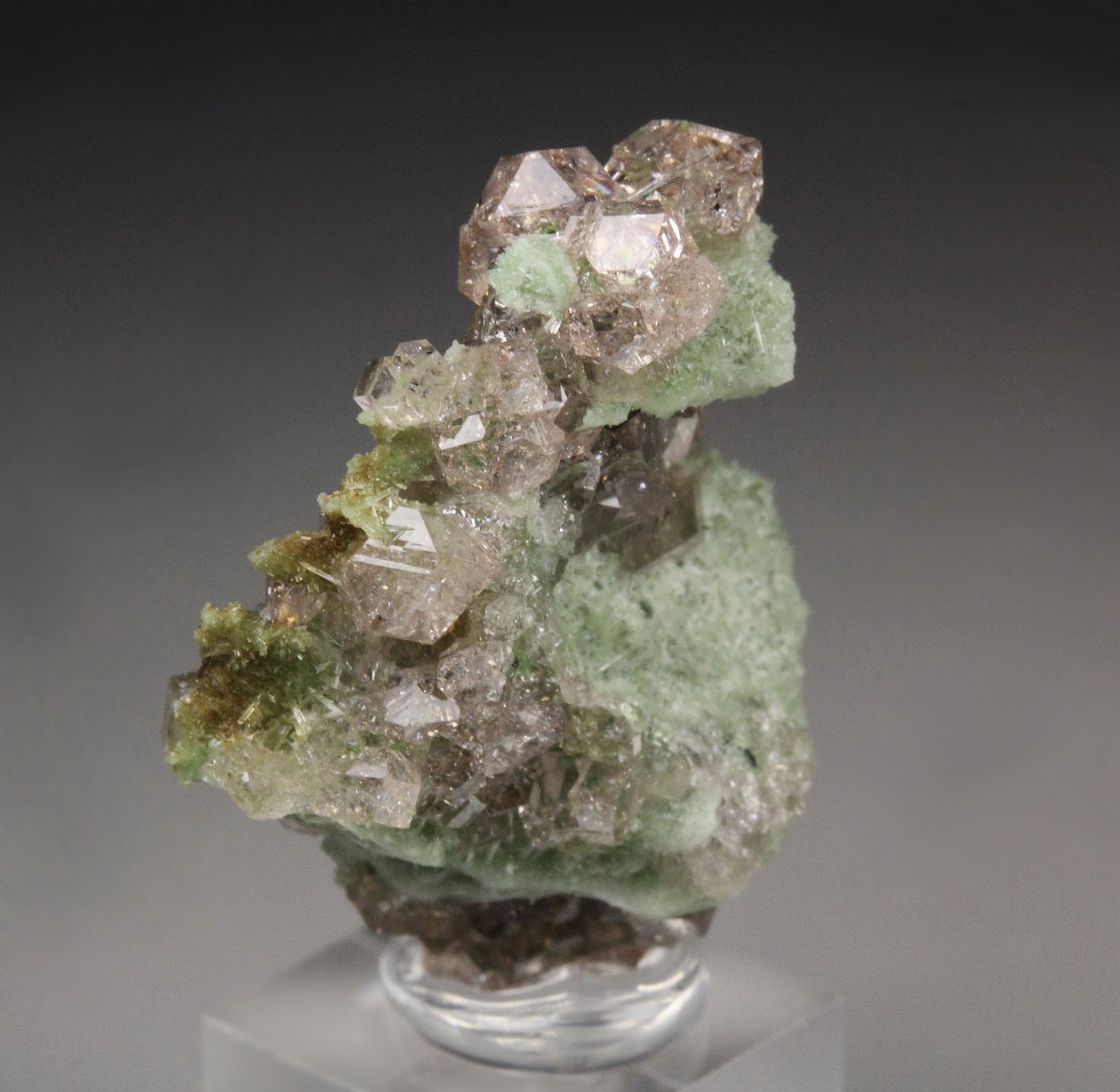 gem pink GARNET var. GROSSULAR with GREEN CORES, DIOPSIDE