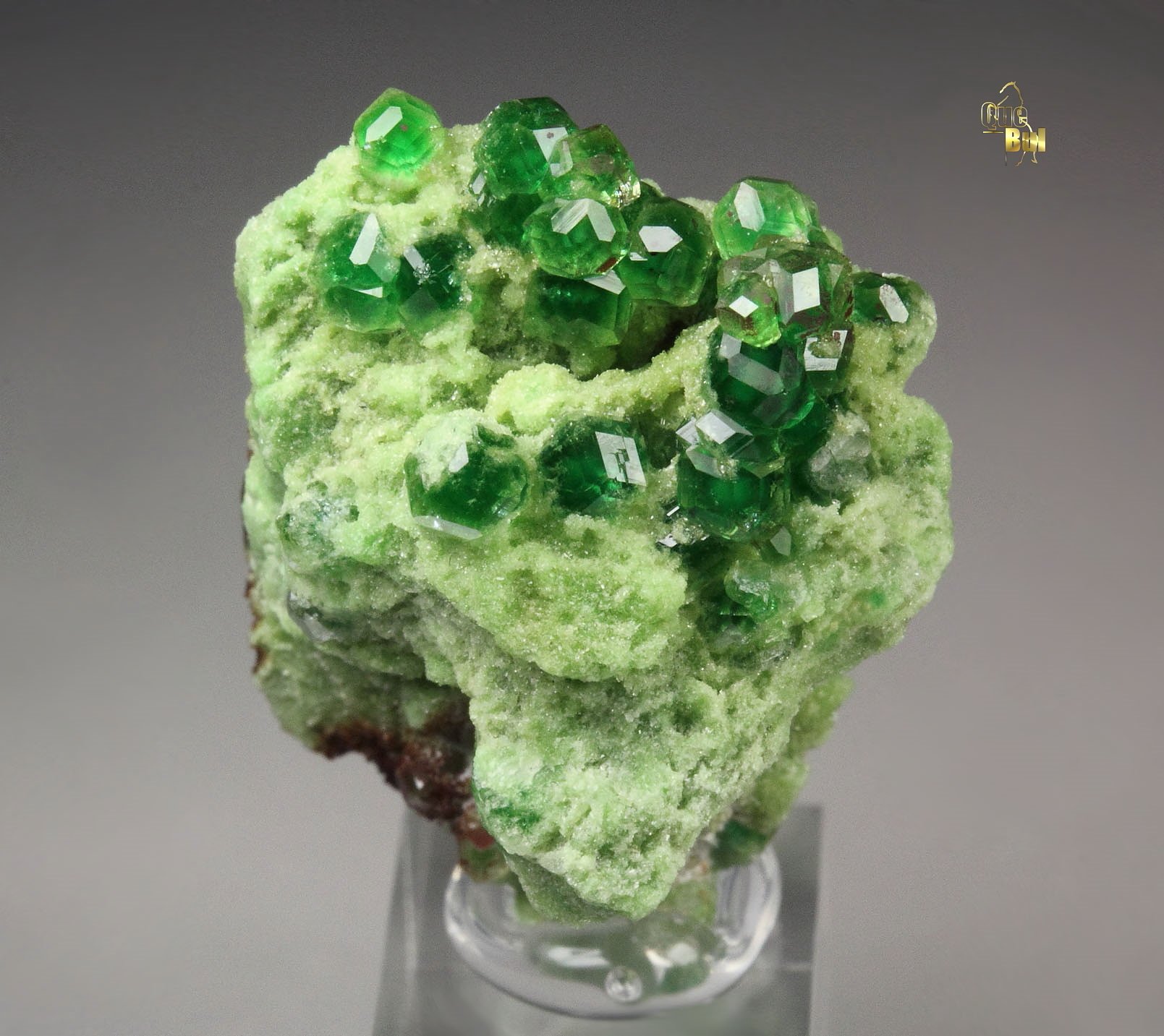 gem GARNET var. GROSSULAR var. CHROMIAN, DIOPSIDE