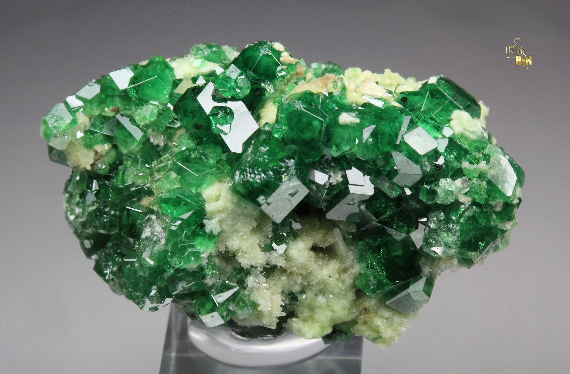 gem GARNET var. GROSSULAR var. CHROMIAN, DIOPSIDE