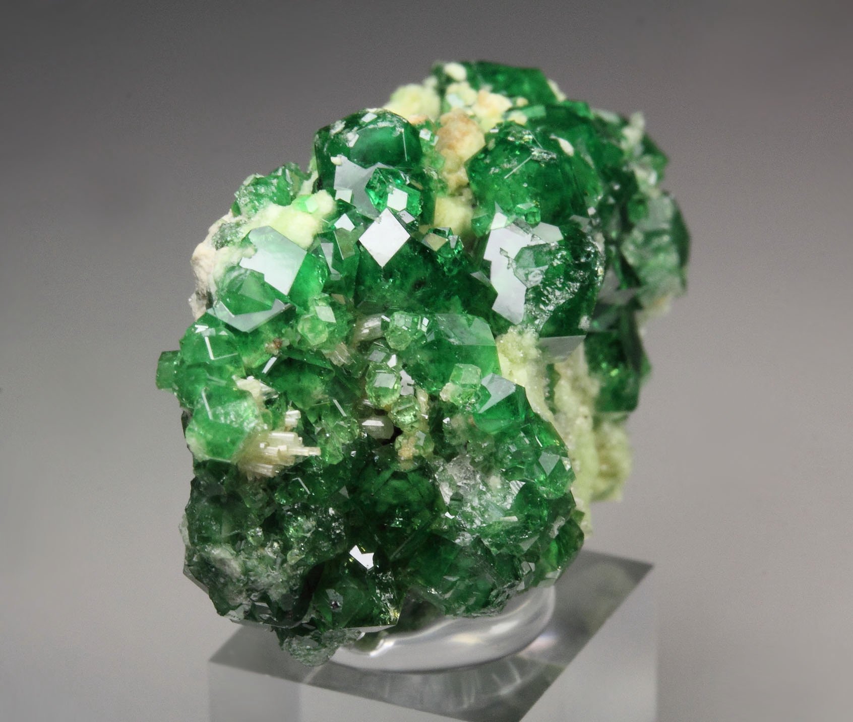 gem GARNET var. GROSSULAR var. CHROMIAN, DIOPSIDE