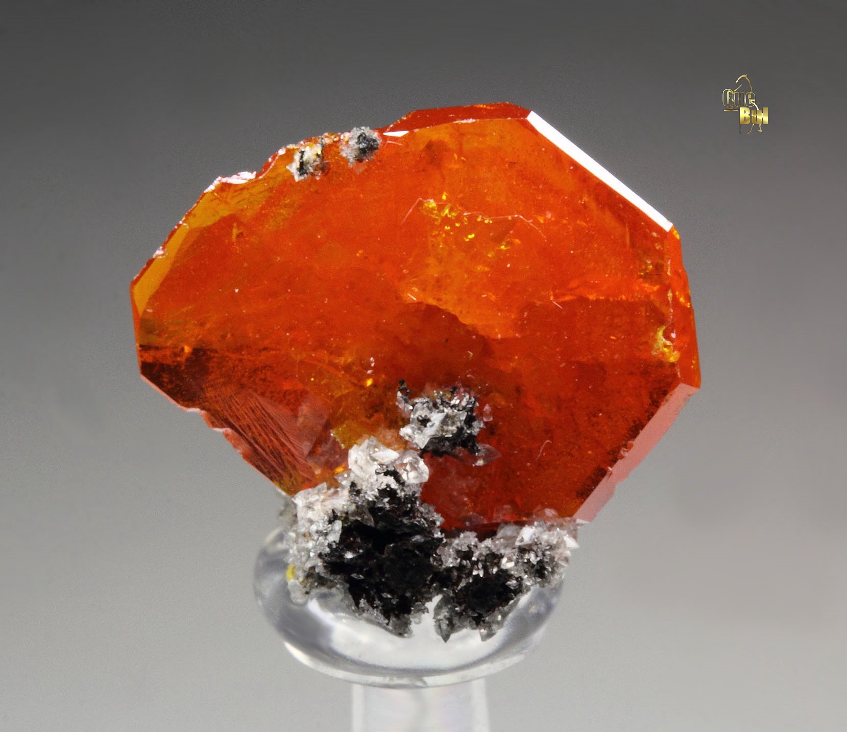 gemmy WULFENITE
